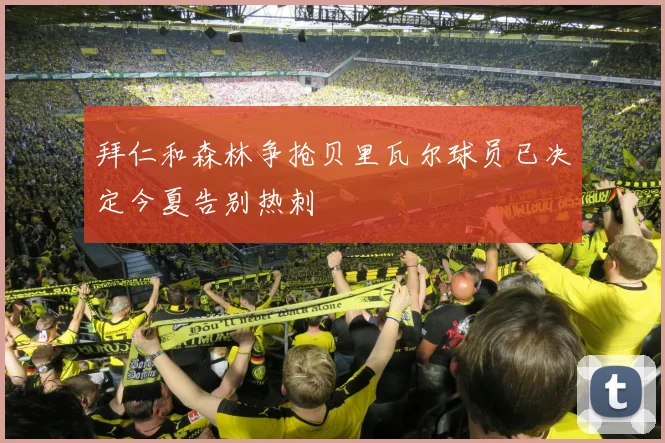 拜仁和森林争抢贝里瓦尔球员已决定今夏告别热刺